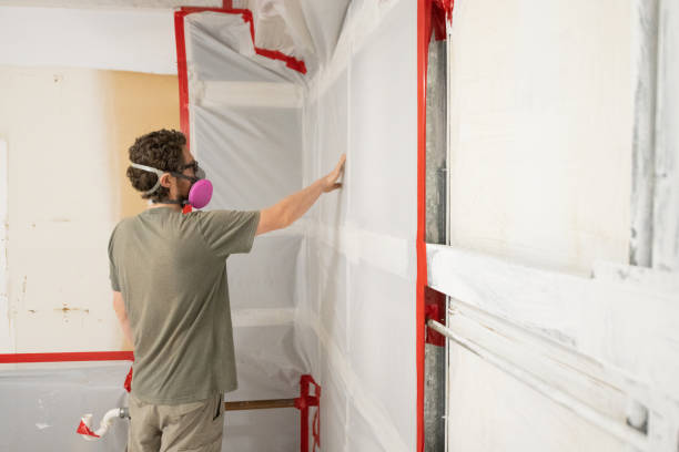 Best Post-Remediation Verification Testing  in Laurel Lake, NJ