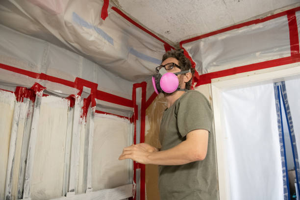 Mold Removal for HVAC Installations in Laurel Lake, NJ