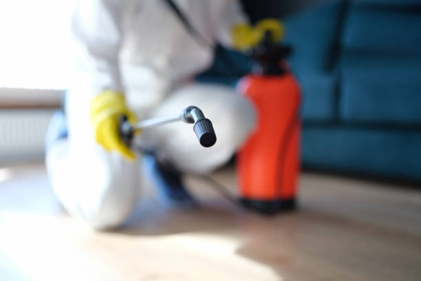 Best Mold Prevention Services  in Laurel Lake, NJ